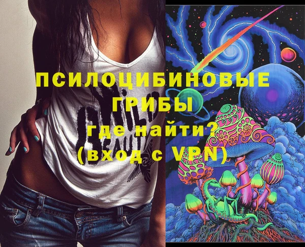 Альфа ПВП Беломорск